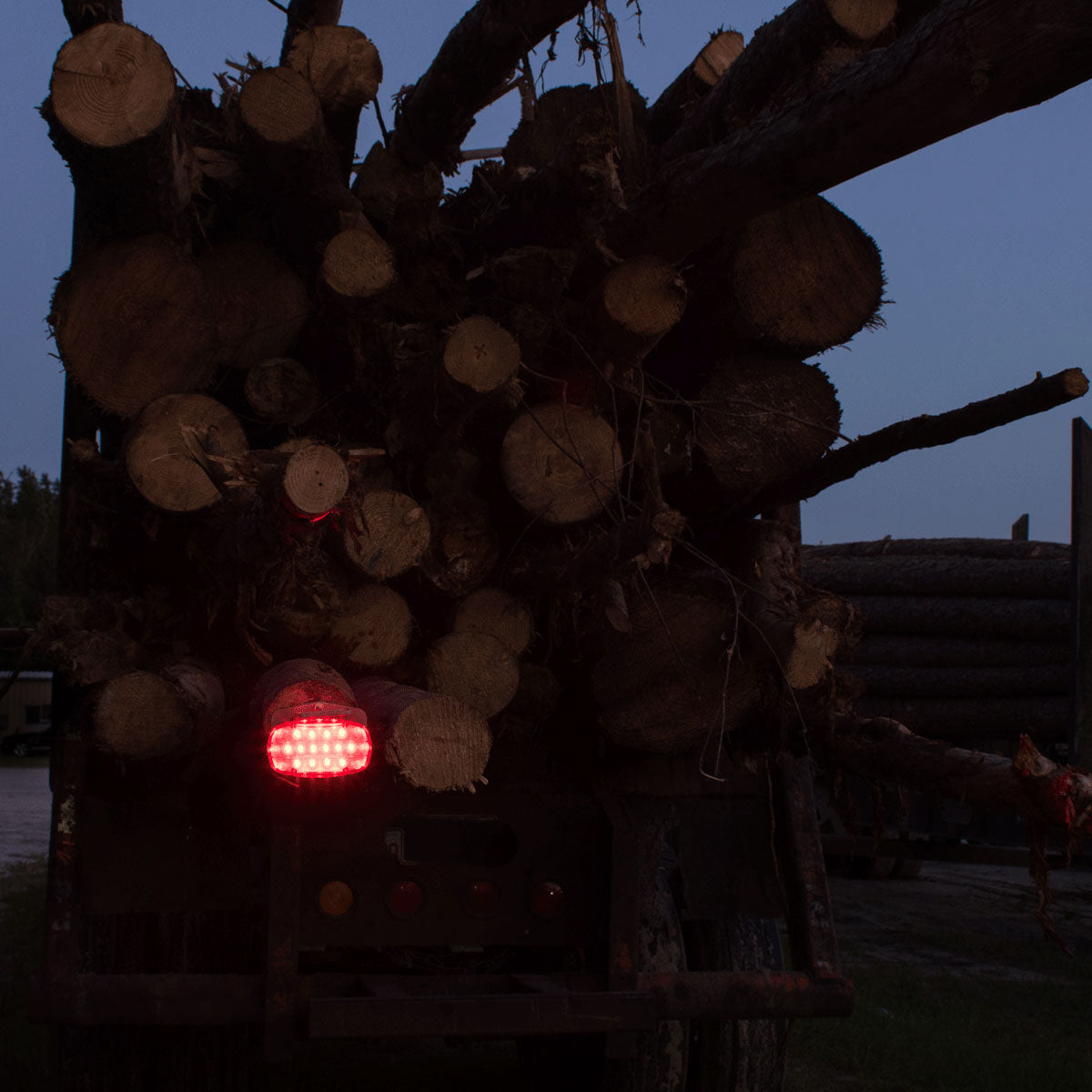 Logger Lite Kit – Red – Case Pack of 4